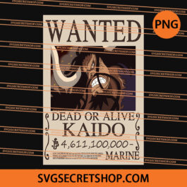 Wanted Kaido PNG