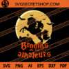 Brooms Are For Amateurs SVG, Witch SVG, Halloween SVG, Brooms SVG 1 Brooms Are For Amateurs SVG