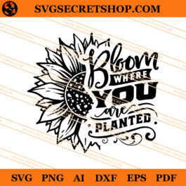 Bloom Where You Are Planted SVG, Sunflower SVG
