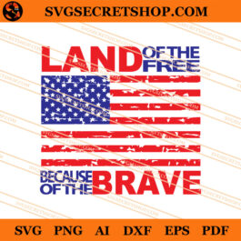Land Of The Free Because Of The Brave SVG, 4th Of July SVG