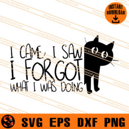 Cat I Came I Saw I For Got What I Was Doing SVG, Cat SVG