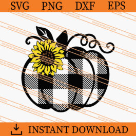 Plaid Pumpkin And Sunflower SVG, Plaid Pumpkin SVG