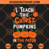 I Teach The Cutest Pumpkins In The Patch SVG, Cutest Pumpkins SVG, Pumpkin SVG 1 I Teach The Cutest Pumpkins In The Patch SVG